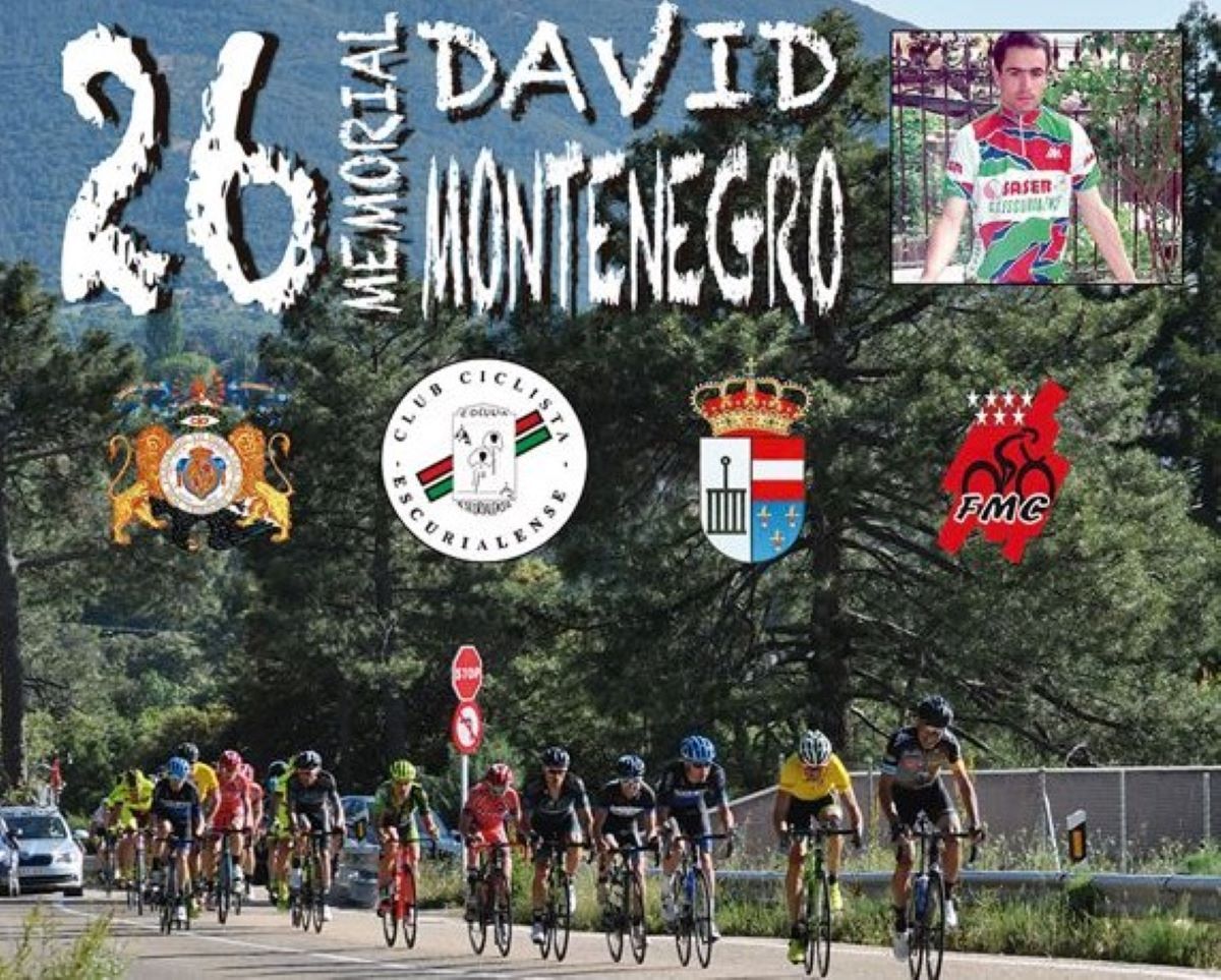 Cartel Memorial David Montenegro