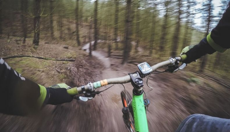 trailforks trailforks