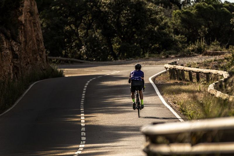 sea otter europe 2 sea otter europe 2