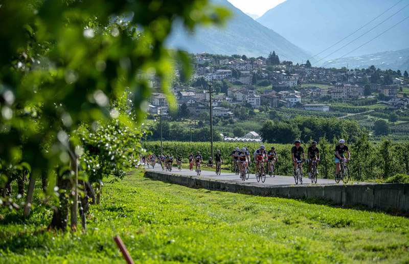 Abiertas las inscripciones del Granfondo Stelvio Santini 2019