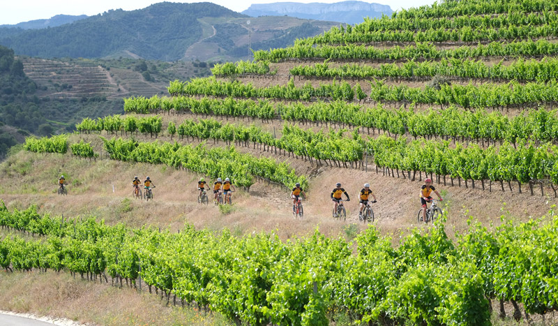 Últimos días del precio promocional de Mussara Priorat y Mussara Andorra