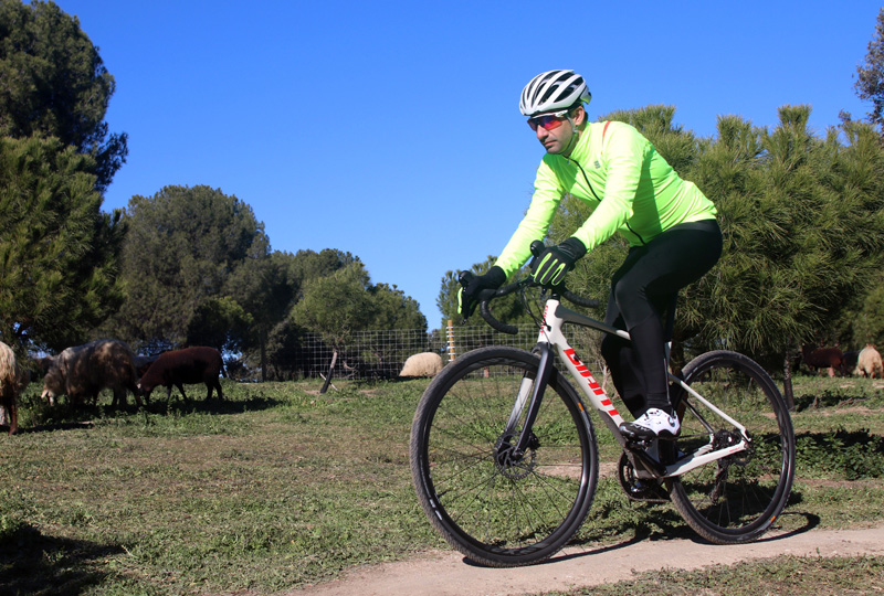 Especial Bicis Gravel: test Giant Revolt