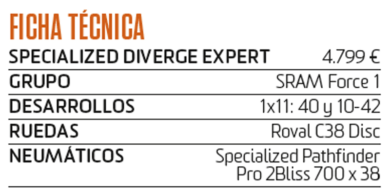 Especial Bicis Gravel: test Specialized Diverge